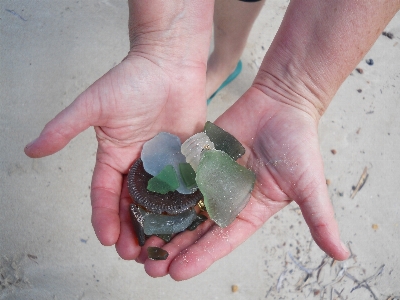 Hand beach sea sand Photo