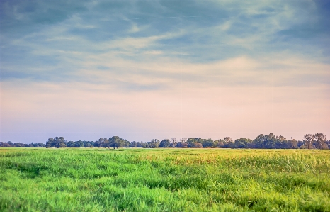 Landscape nature grass horizon Photo