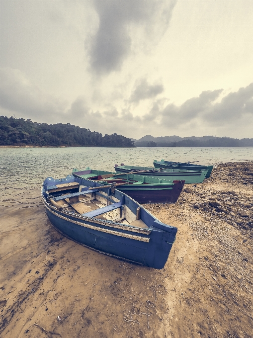 Meer küste wasser sand