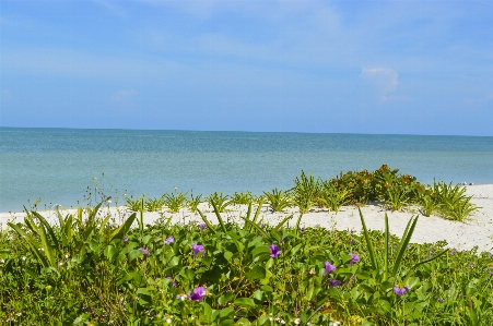 Beach sea coast water Photo