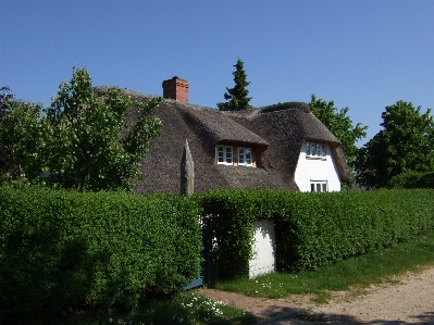 Tree farm villa house Photo