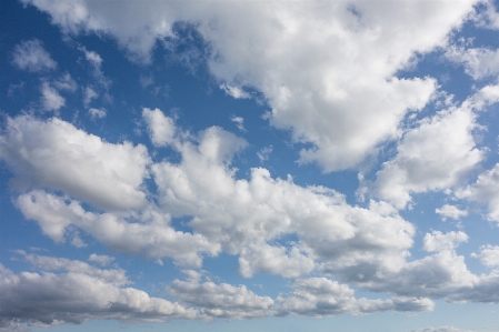 Nature horizon light cloud Photo