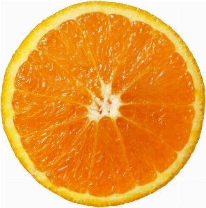 Anlage frucht orange essen Foto