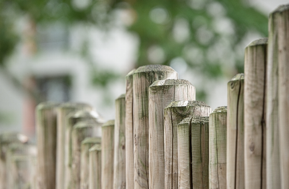 Fence board wood house