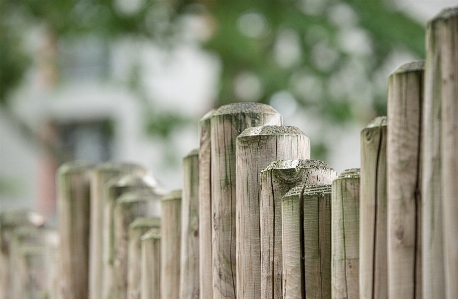 Fence board wood house Photo