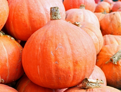 Farm decoration orange food Photo