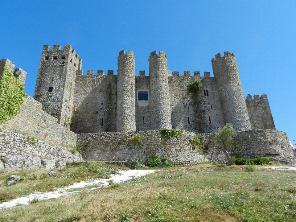 Edificio chateau
 castello fortificazione
