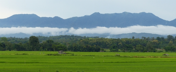 Landscape nature grass mountain Photo