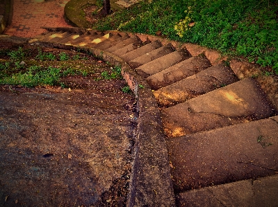 Rock wood track road Photo