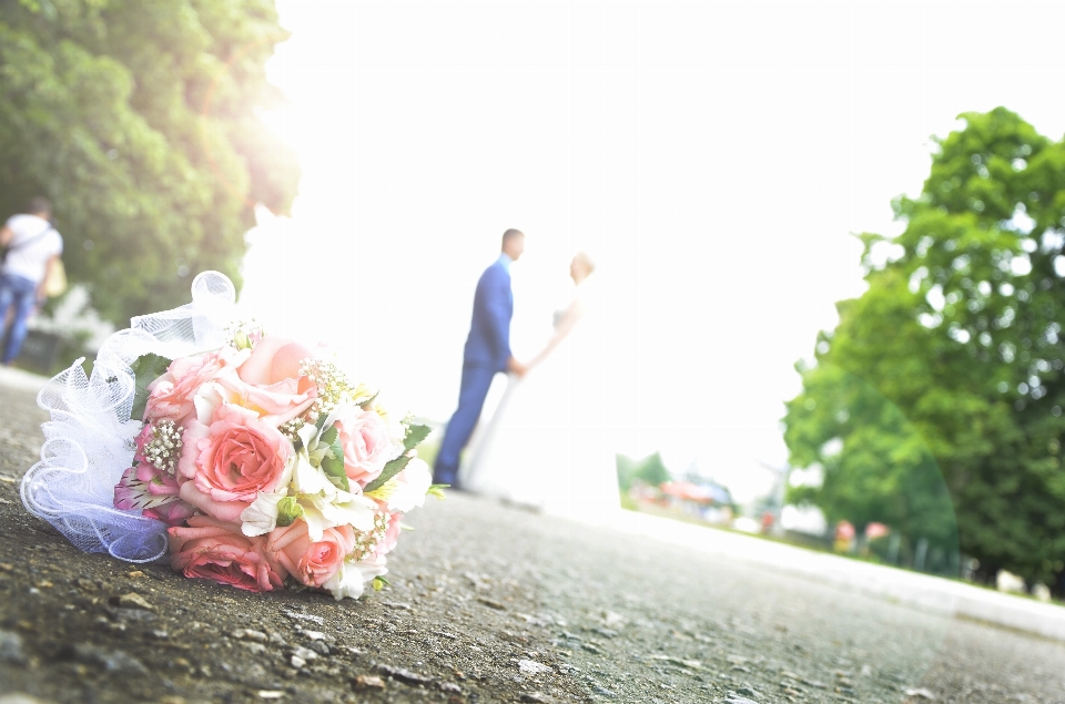 Fotografia flor amor casal