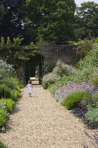 Landscape lawn flower view Photo