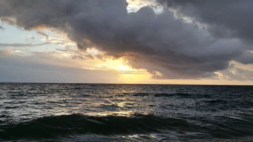 Beach sea coast nature