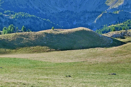 Landschaft natur gras wildnis
 Foto