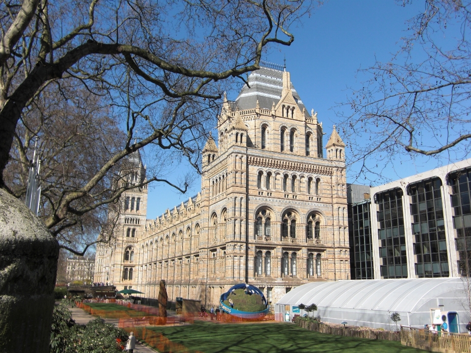 木 建築 建物 美術館