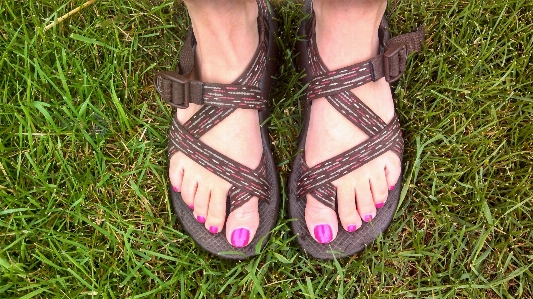 Grass shoe lawn flower Photo