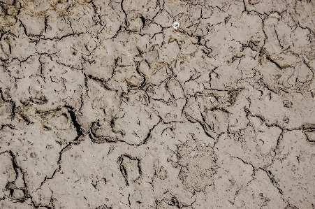 Rock texture floor wall Photo