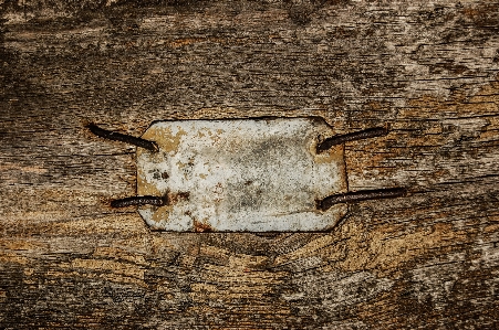 Wood texture leaf old Photo