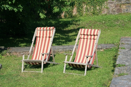 Nature sun bench chair Photo