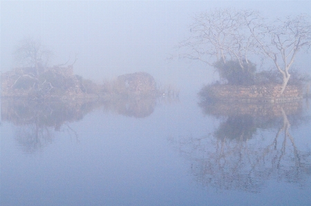 風景 水 沼地 ブランチ 写真