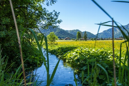 Landschaft wasser natur wald Foto