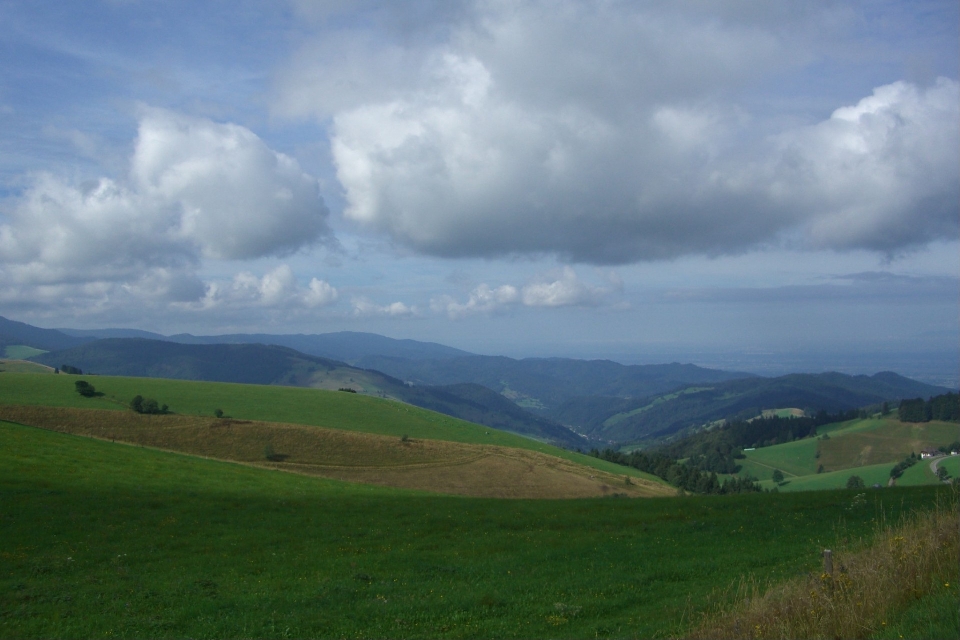 Paisagem natureza grama horizonte