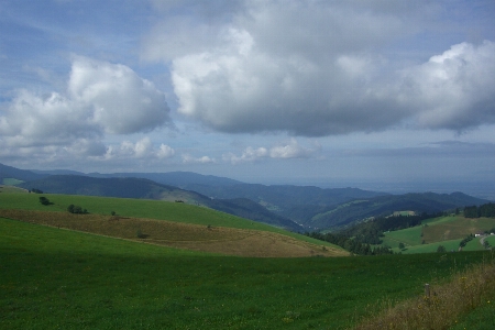 Landscape nature grass horizon Photo