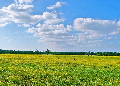 Landscape nature grass outdoor Photo