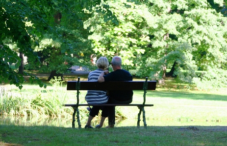 Park garden grandma picnic Photo