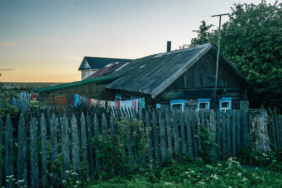 árvore natureza cerca fazenda