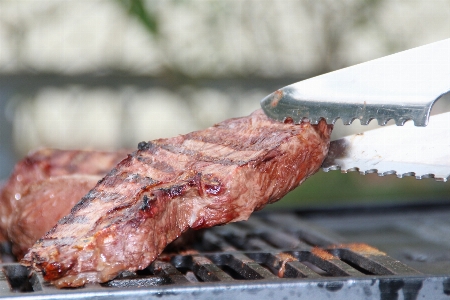 Summer dish food cooking Photo