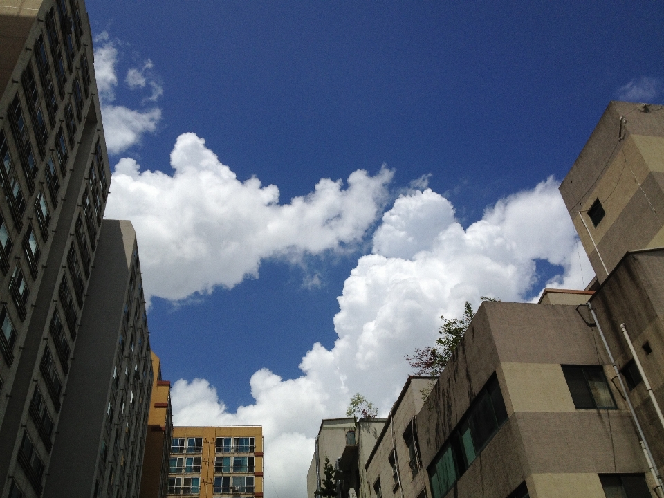 Cloud architecture sky building