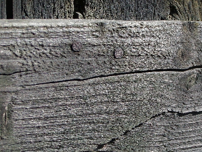 Tree rock fence wood Photo