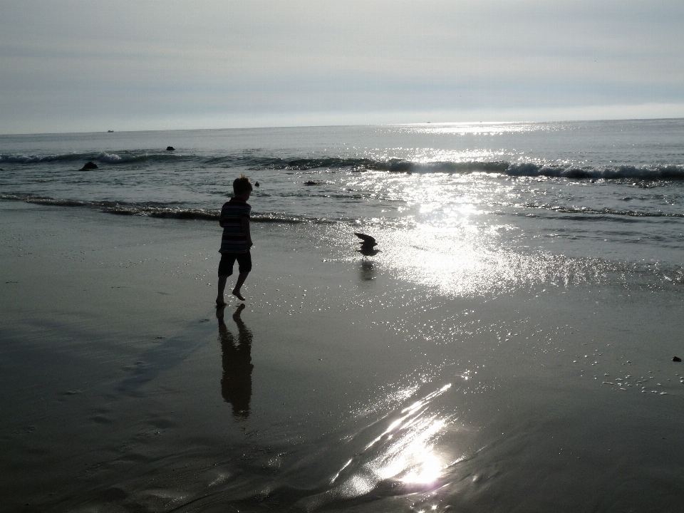 Beach sea coast water