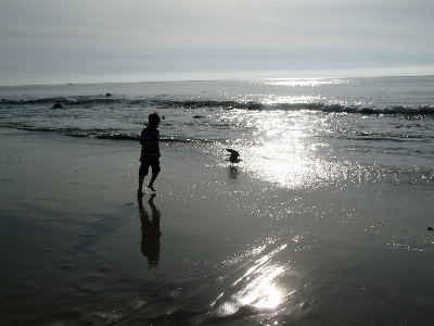 Beach sea coast water Photo