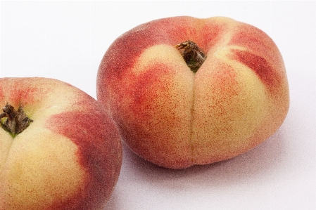 Apple nature plant fruit Photo