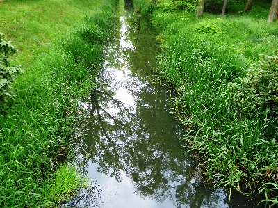 Landscape tree water nature Photo