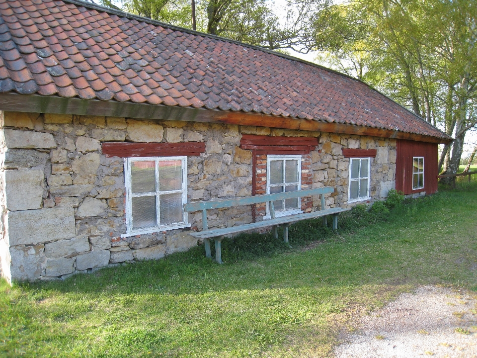 árbol césped granja casa