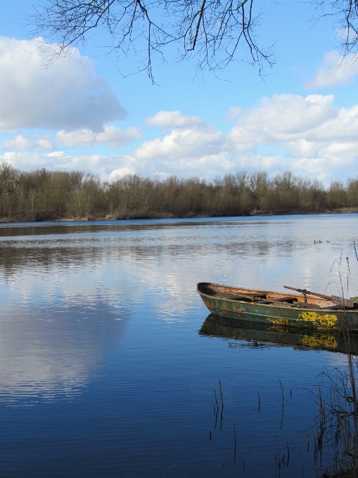 Paesaggio albero acqua natura