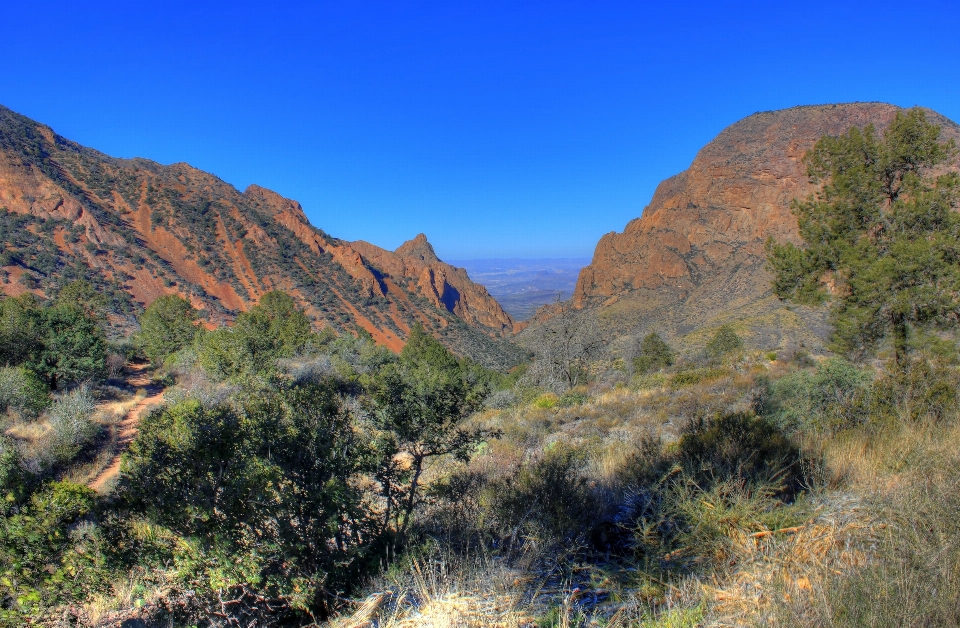 Landschaft baum natur rock