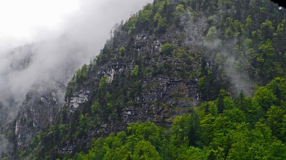 Natur wald wasserfall wildnis
