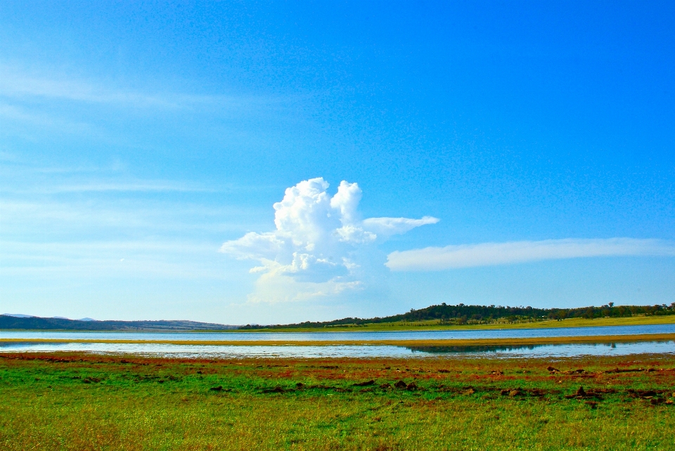 風景 海 海岸 自然