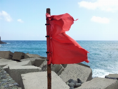 ビーチ 海 海岸 海洋 写真