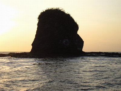 Beach sea coast water Photo