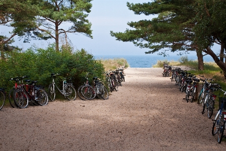 Beach sand trail wheel Photo