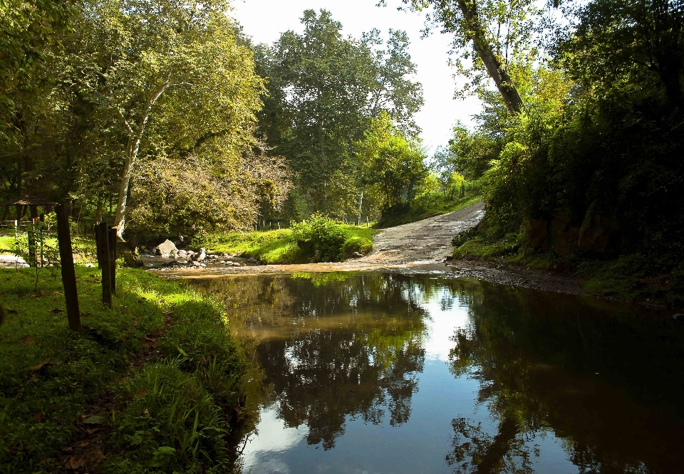 Landschaft baum wasser natur