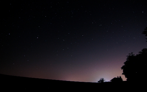 Forest sky night star Photo