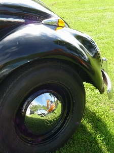 Grass car wheel reflection Photo