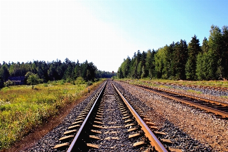 Forest sky track railway Photo