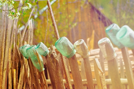 Branch abstract fence sunshine Photo