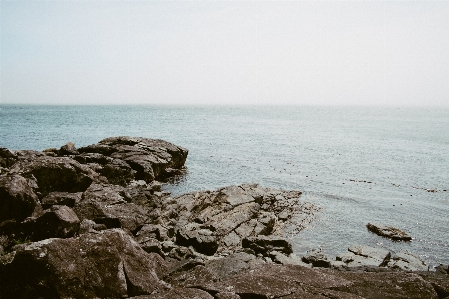 Beach sea coast water Photo